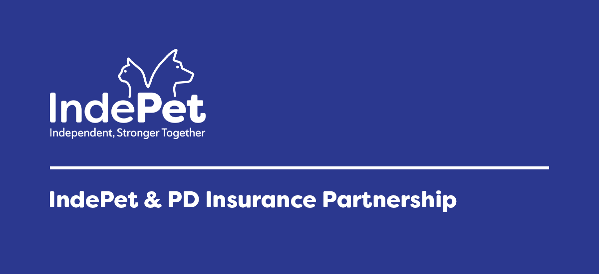 Presents for Cat Lovers and Dog Lovers - PD Insurance NZ